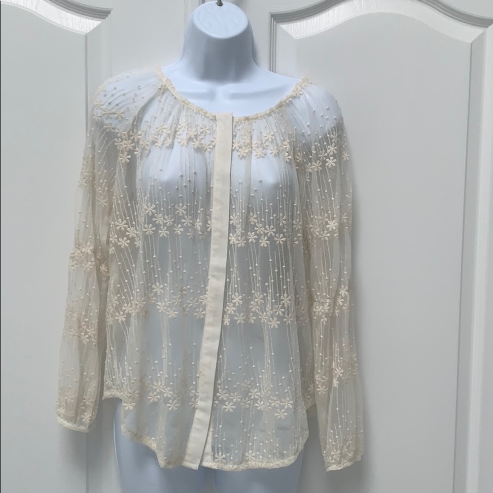 Sheer shirt